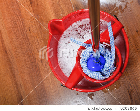 mop in bucket 9203806