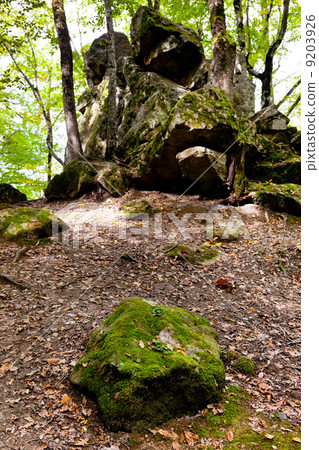 Rock Devil finger in caucasus mountains 9203926
