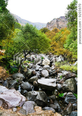 wet boulders of mountain river in rain, Armenia 9203970