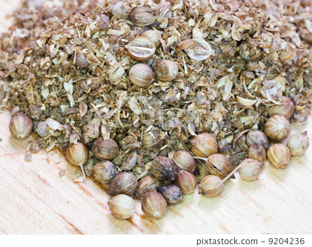 ground spicy coriander seeds 9204236
