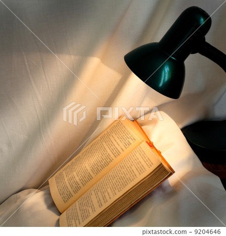 book on pillow lit reading lamp 9204646
