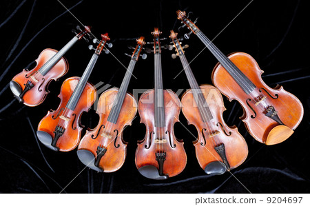 family of different sized violins on black family of different sized violins on black 9204697