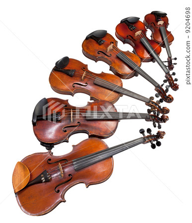 six sizes of violins six sizes of violins 9204698