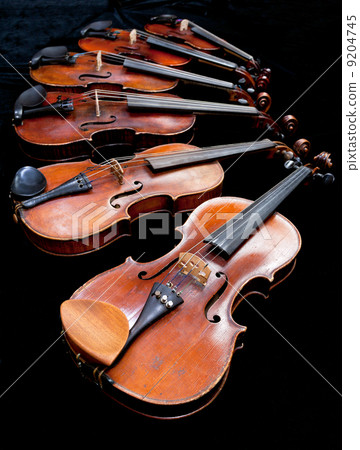 fiddles with black background fiddles with black background 9204745