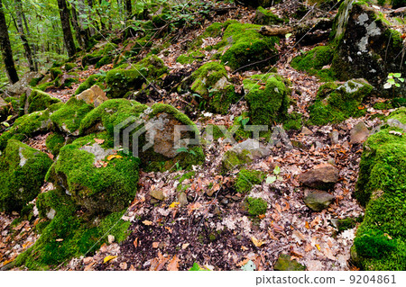 Rock Devil finger in caucasus mountains Rock Devil finger in caucasus mountains 9204861