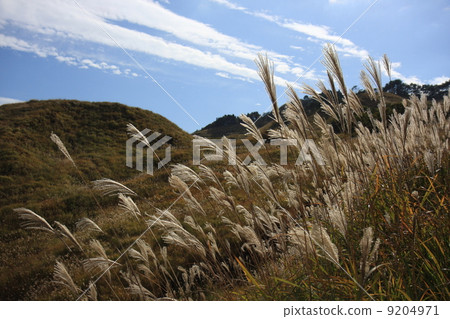 秋天很深 秋天很深 9204971