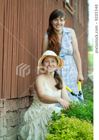 Two women cutting shrubbery Two women cutting shrubbery 9205348