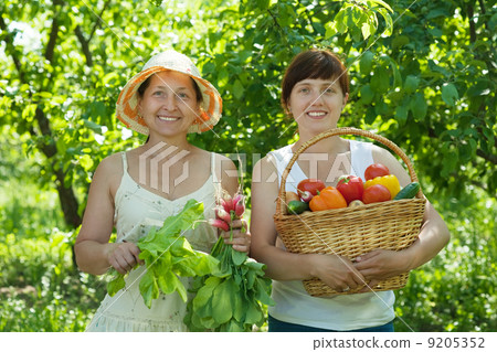 women with harvested vegetables in garden women with harvested vegetables in garden 9205352