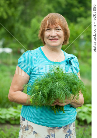 woman with harvested dill woman with harvested dill 9205886