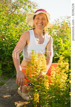 woman with loosestrife woman with loosestrife 9206226