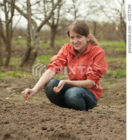 woman checkrows set onion i 9207194