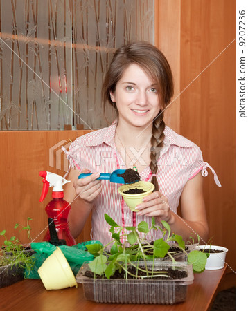 Female gardener with sprouts 9207236