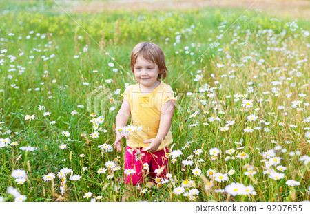 Two-year child in meadow Two-year child in meadow 9207655