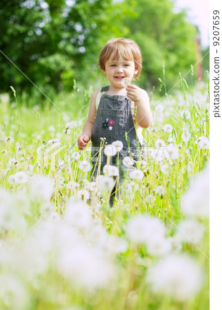 Two-year girl in dandelion plant Two-year girl in dandelion plant 9207659