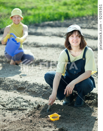 women sows seeds in soil women sows seeds in soil 9209361