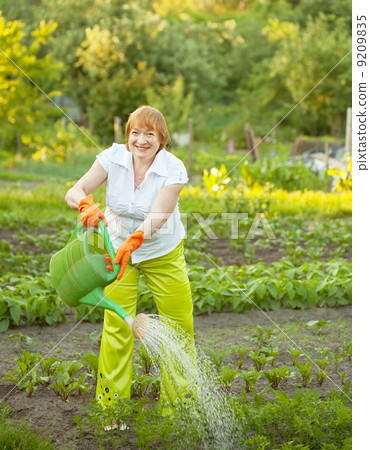 woman watering with watering pot woman watering with watering pot 9209835