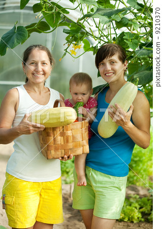 family with harvested vegetables family with harvested vegetables 9210370