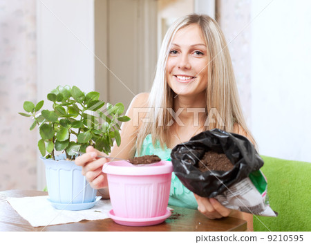 woman transplants Kalanchoe plant in flowerpot woman transplants Kalanchoe plant in flowerpot 9210595