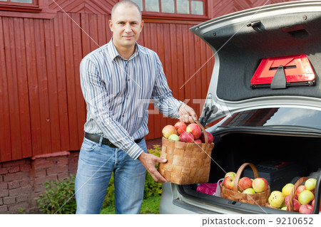 Guy puts apples in the trunk of car Guy puts apples in the trunk of car 9210652