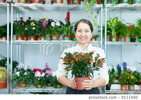 mature woman with citrus plant in store mature woman with citrus plant in store 9211480