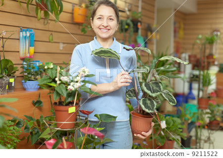 woman with Calathea plant in flower store 9211522