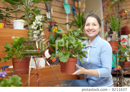mature woman chooses auricula 9211637