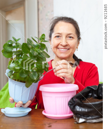 Happy mature woman transplants Kalanchoe Happy mature woman transplants Kalanchoe 9211685