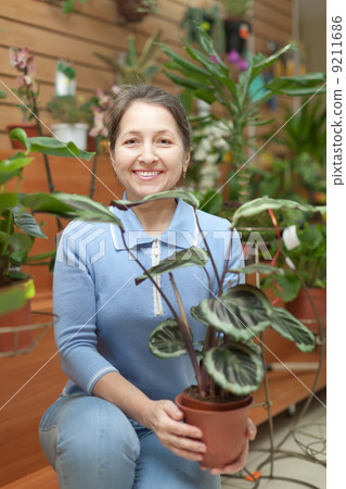 woman with Calathea plant in flower store woman with Calathea plant in flower store 9211686