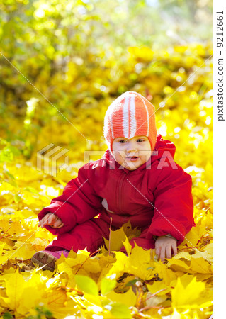year-old child sitting on maple leaves year-old child sitting on maple leaves 9212661