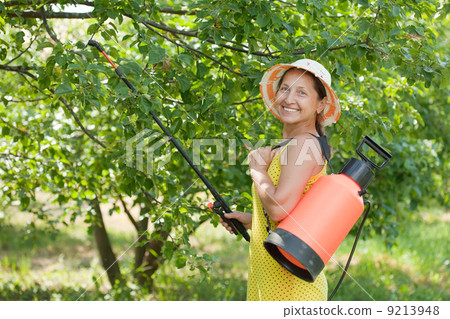 Woman spraying tree branches Woman spraying tree branches 9213948