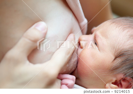 newborn baby sucks breast newborn baby sucks breast 9214015