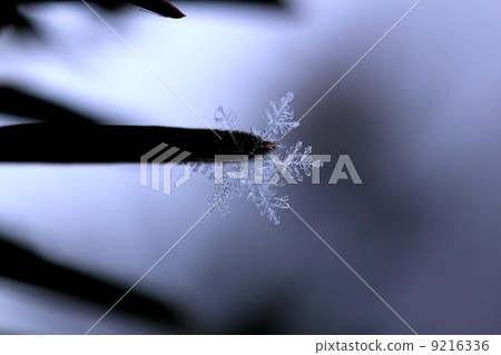 Crystal of snow Crystal of snow 9216336
