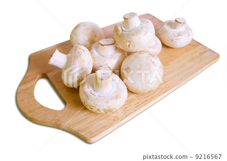 champignon mushroom champignon mushroom 9216567