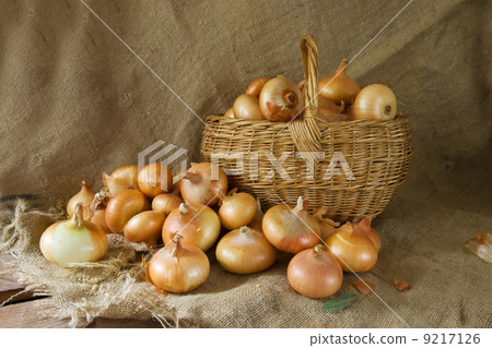 onion in basket 9217126