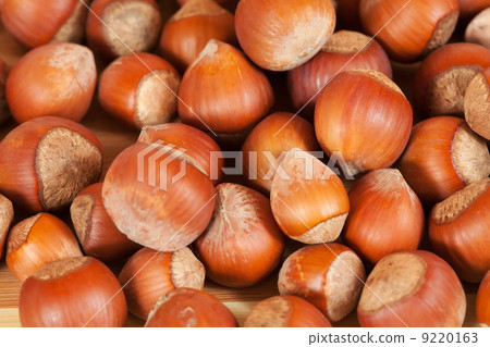 Background of hazelnuts 9220163
