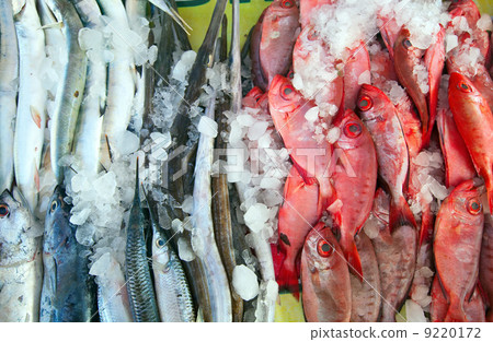 Raw fish on market counter Raw fish on market counter 9220172
