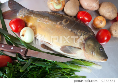 Raw fresh carp fish Raw fresh carp fish 9222724