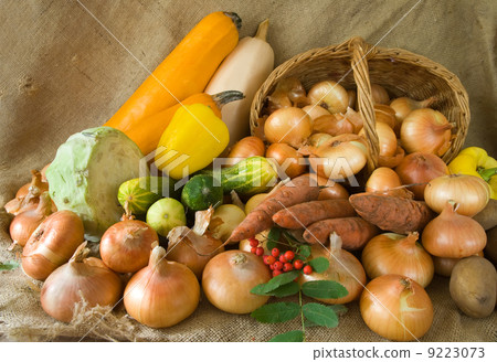 harvest harvest 9223073