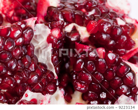grains of pomegranate grains of pomegranate 9223134