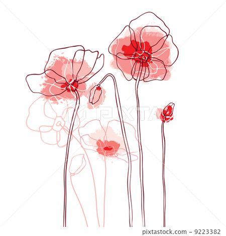 Red poppies on a white background - Stock Illustration [9223382] - PIXTA