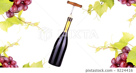 Ripe grapes, red wine and a bottle isolated 9224416