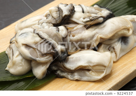 去皮牡蠣 去皮牡蠣 9224537