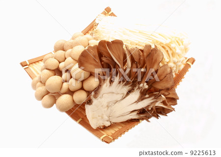 蘑菇聚集蘑菇Enoki shimeji 9225613