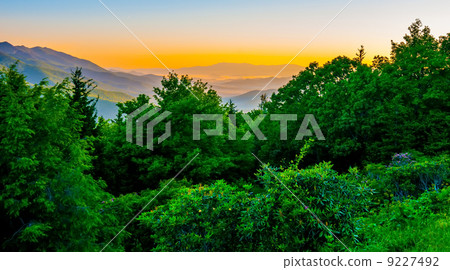 blue ridge parkway early morning 9227492