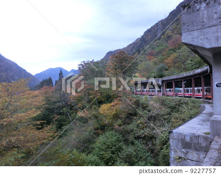 Kotori溫泉 9227757