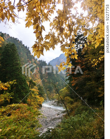 Keyakitaira Keyakitaira 9227758