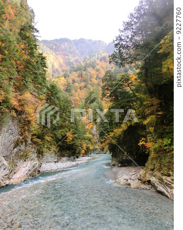 Sarutobi Gorai 9227760