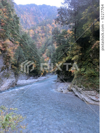 Sarutobi Gorai 9227764