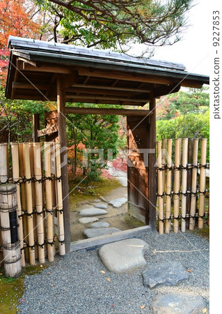 秋天天鵝庭院 秋天天鵝庭院 9227853
