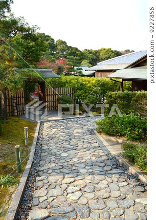 Autumn swan garden 9227856